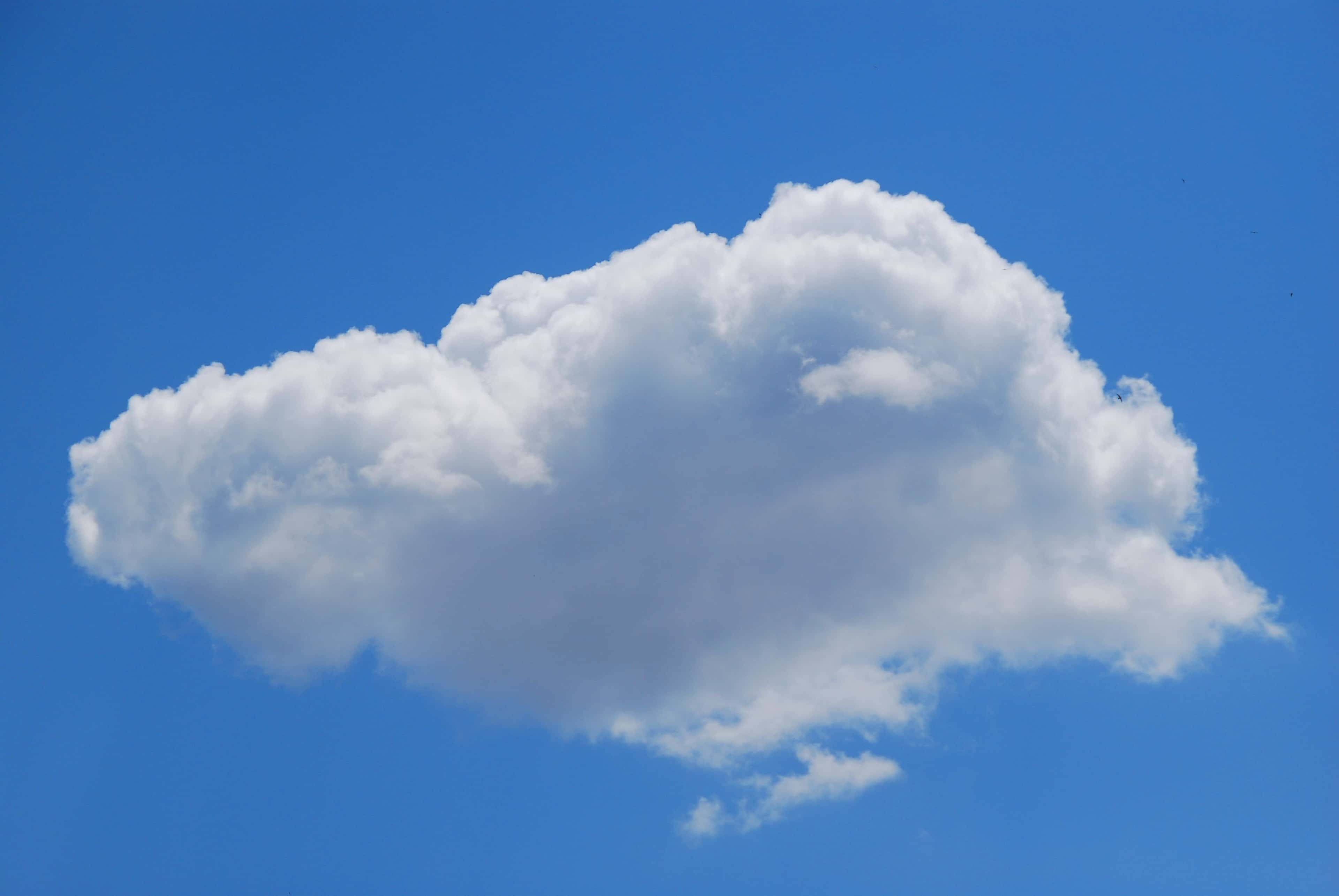 SaaS und Managed Services  image