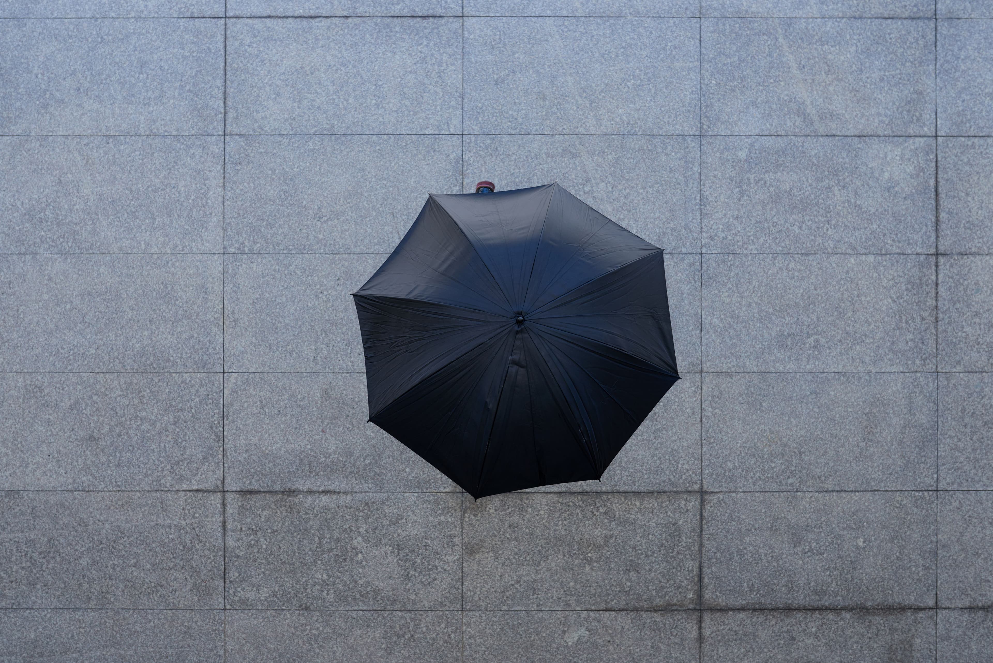 Digital Brand Protection-image